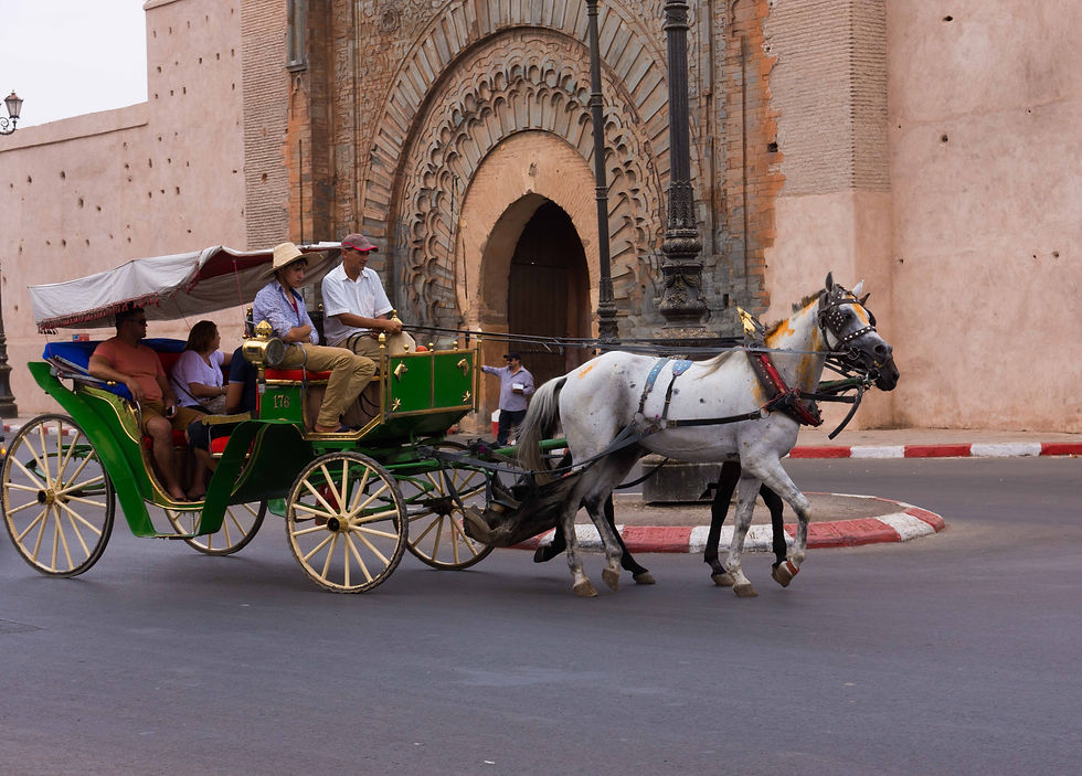 Passeio/Medina de Marrakech