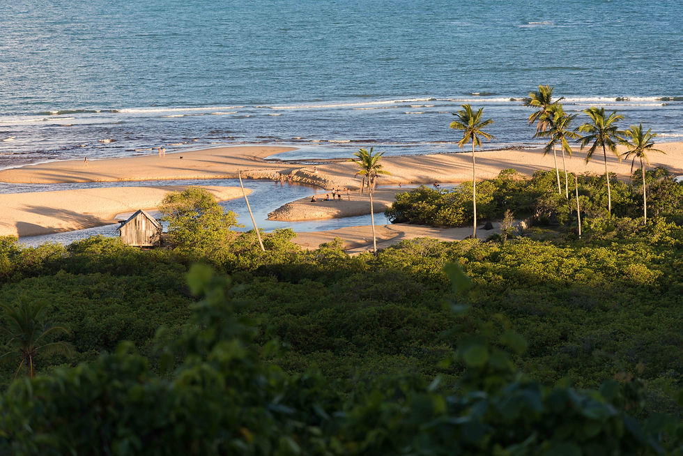Praia dos Nativos
