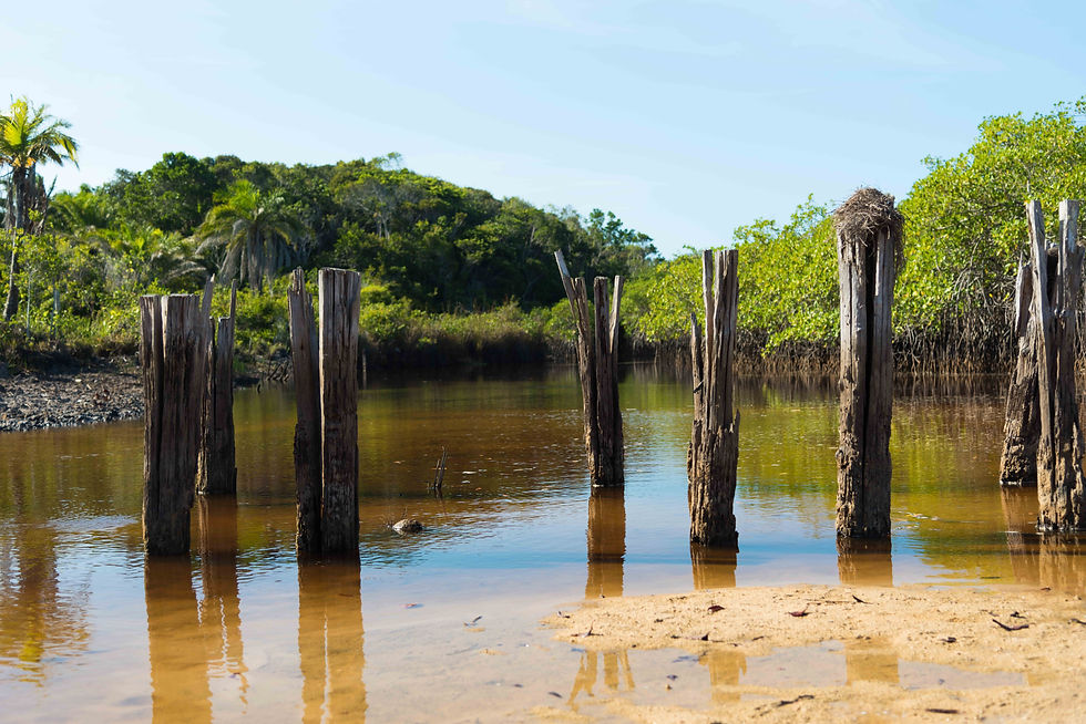 Rio Cahy