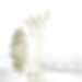AdobeStock_8062163.jpeg