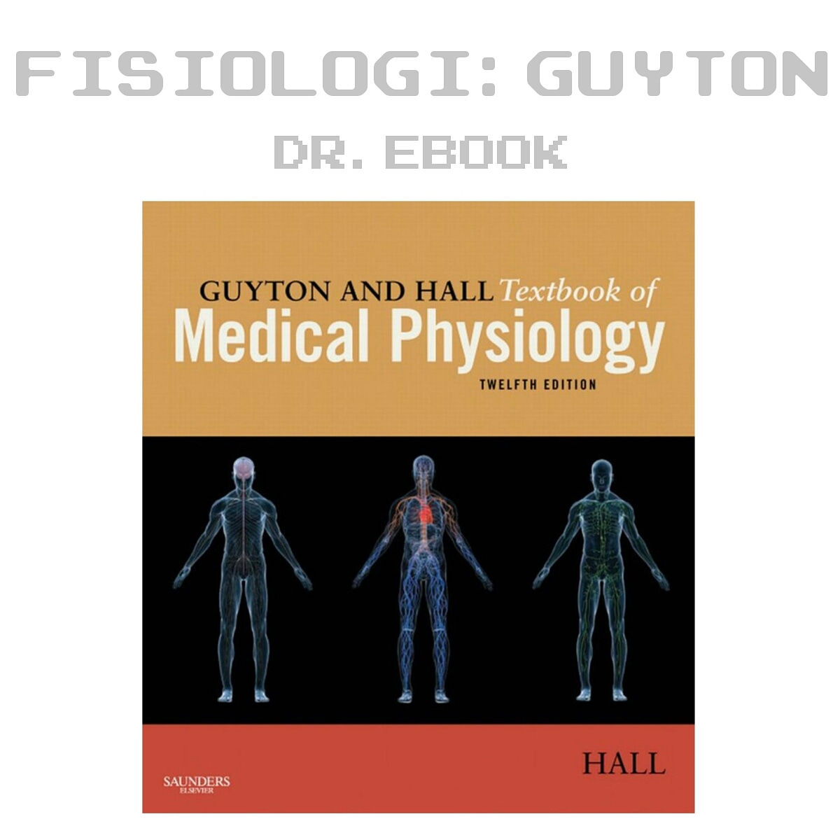 FISIOLOGI : Guyton
