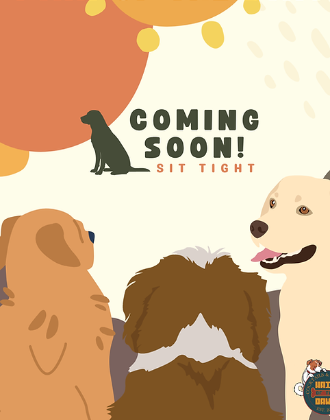 More to Come with Hair of the Dawg