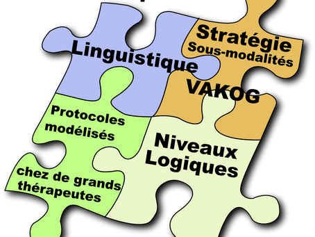 La Programmation Neuro Linguistique