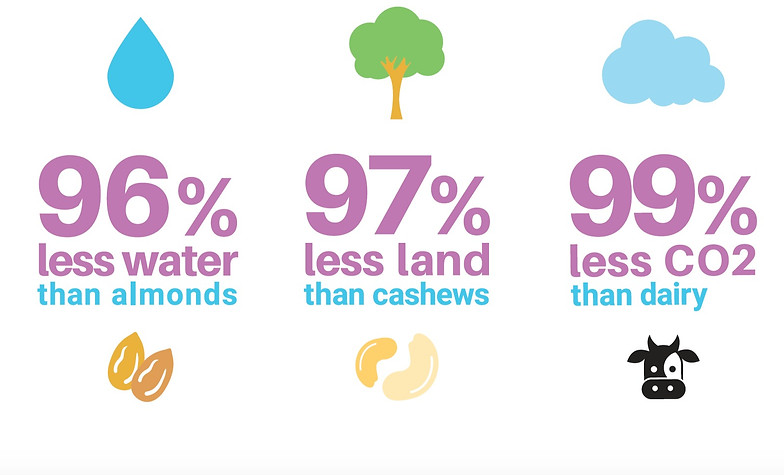 Screen%20Shot%202020-09-30%20at%202.21_e