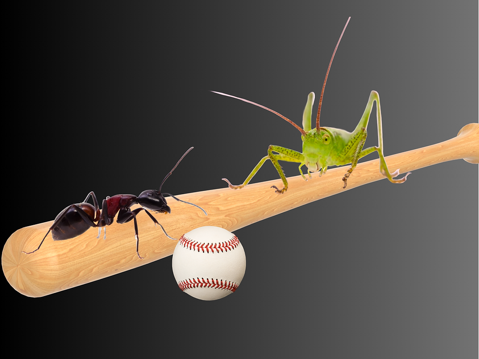An ant and a grasshopper on a baseball bat