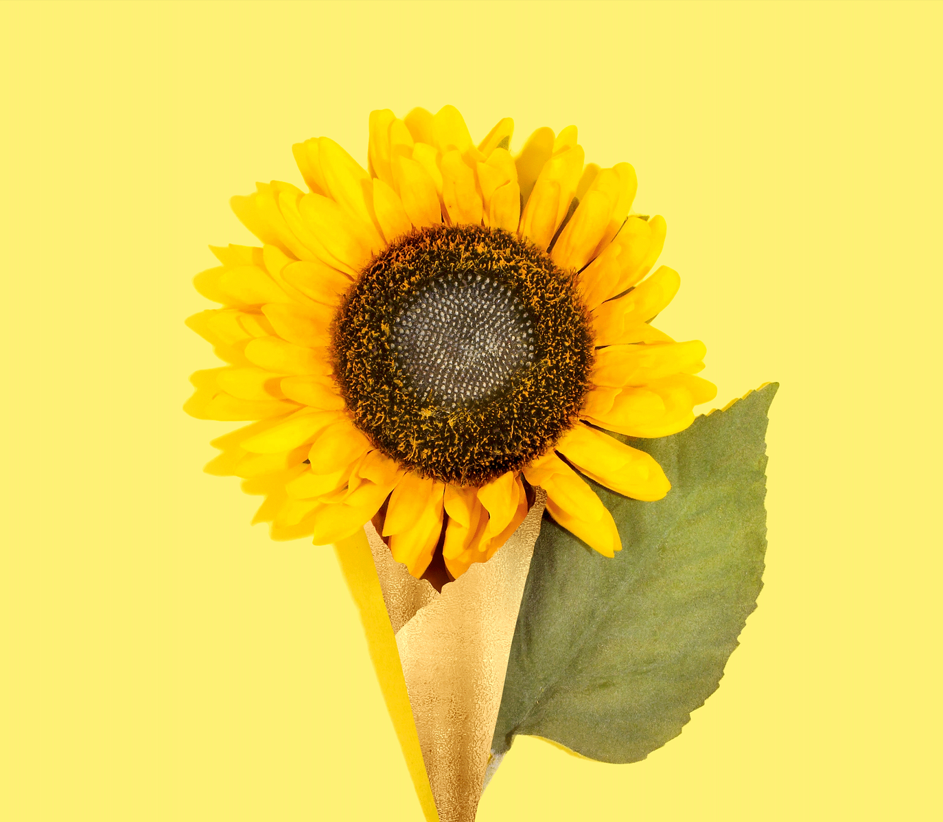 Screen Shot 2020-09-12 at 5.08.42 PM.png