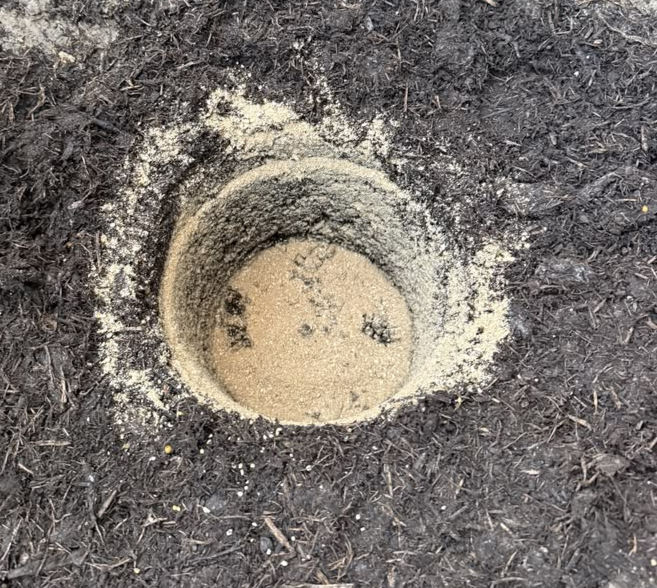 The perfect planting method.