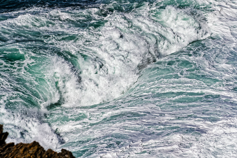 _DSC4583Vague