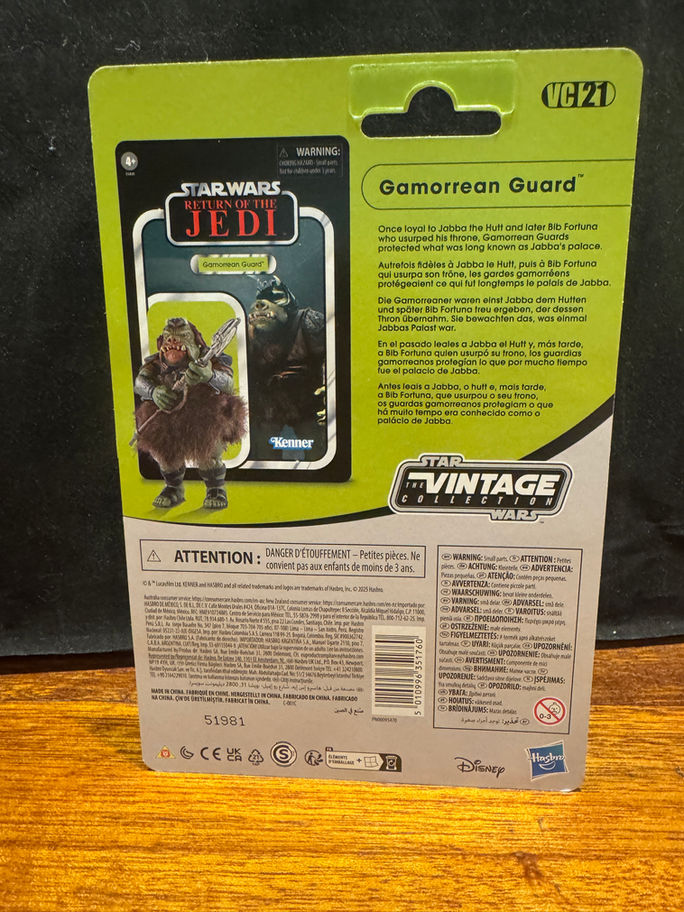 STAR WARS Vintage Collection GAMORREAN GUARD VC21 3.75" Action Figre