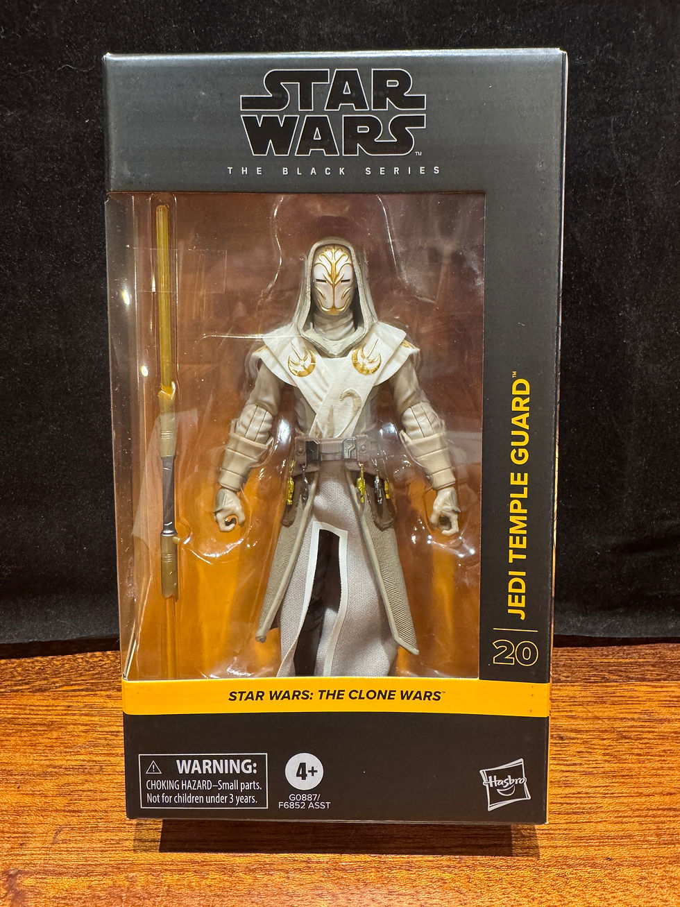 Star Wars Black Series JEDI TEMPLE GUARD #20 6" Action Figure