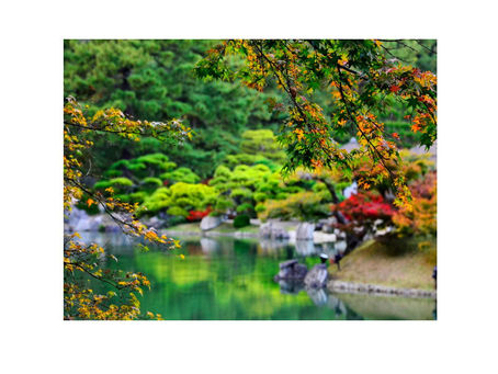 2017-04-01　水戸市民緑化祭り　千波湖