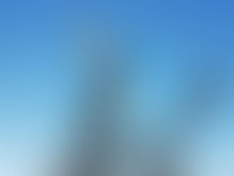 令和2年の水戸市・市民植木まつり中止のお知らせ
