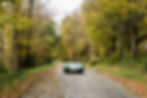 Lotus-43 copy.jpg