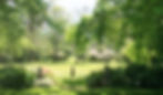 garden grass web.jpg