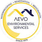 AEVO LOGO PNG.png