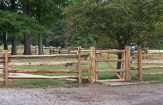 Red White Cedar Split Rails Ontario