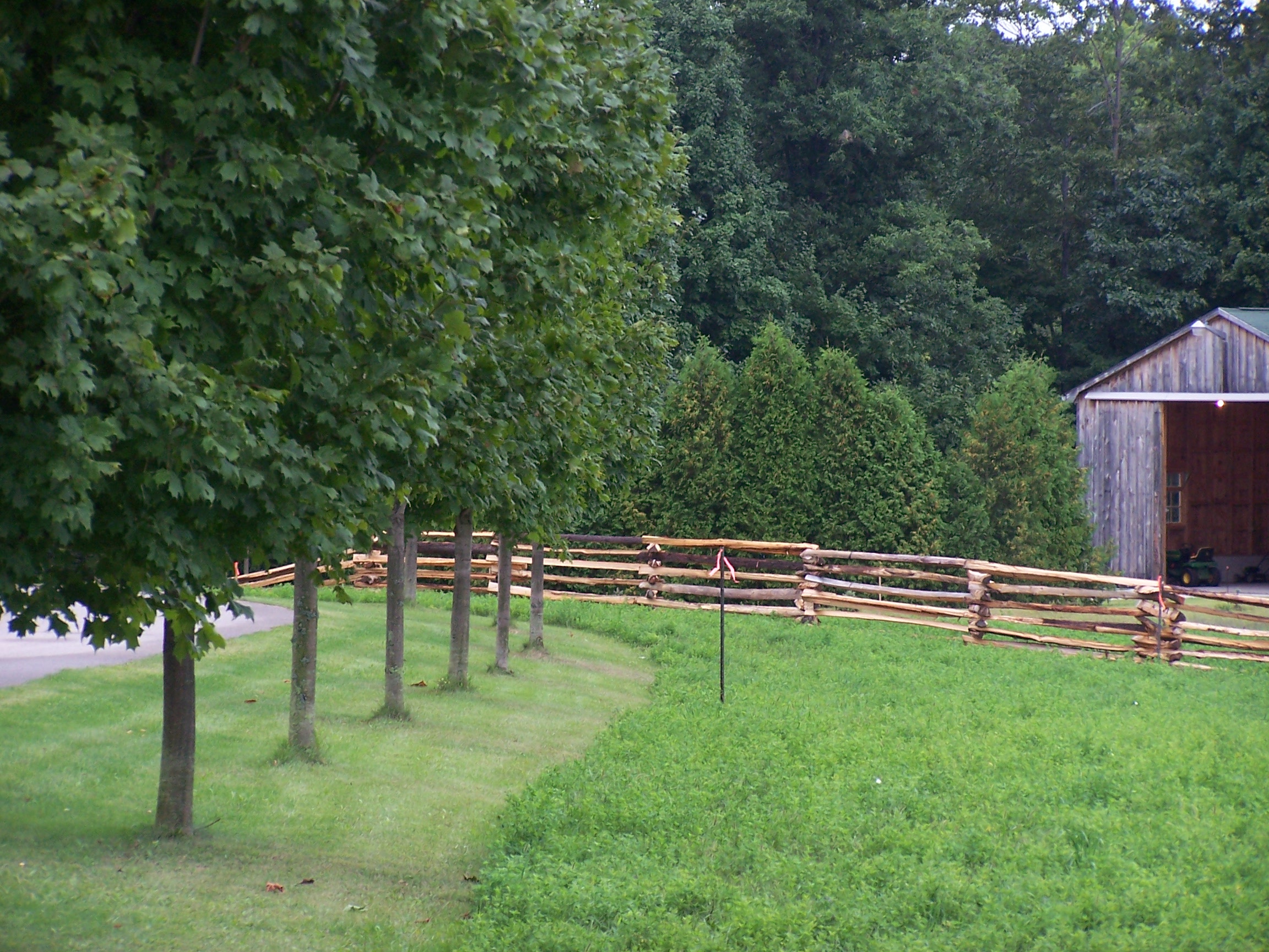Snake Zig Zag Cedar Split Rail Fences Cedarsplitrails
