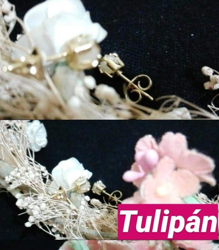 Tulipán