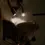 Miniaturbild: Buchlicht