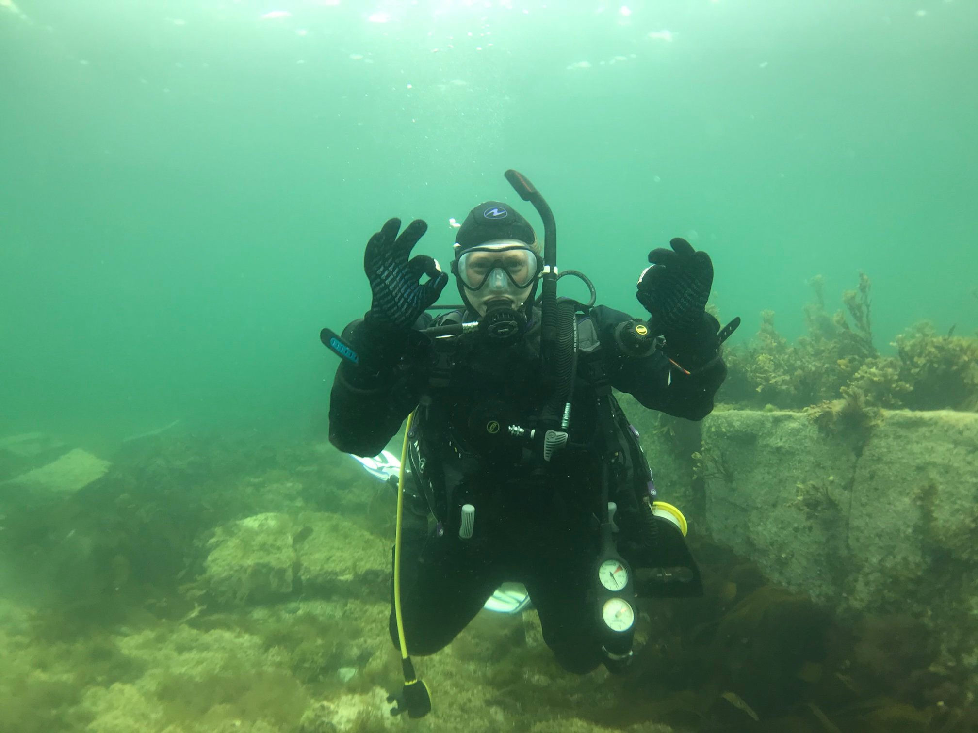 Dry Suit Diver