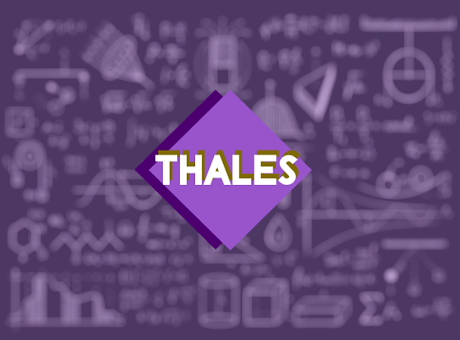 Programa Thalees.png
