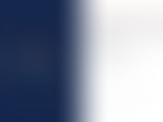 REI Systems CX Playbook