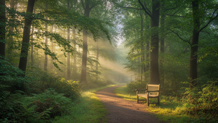 Faith and Beauty in God’s Journey Finding Strength and Divine Guidance Along the Way