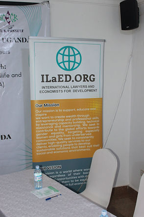 ILaED pull-up banner.JPG
