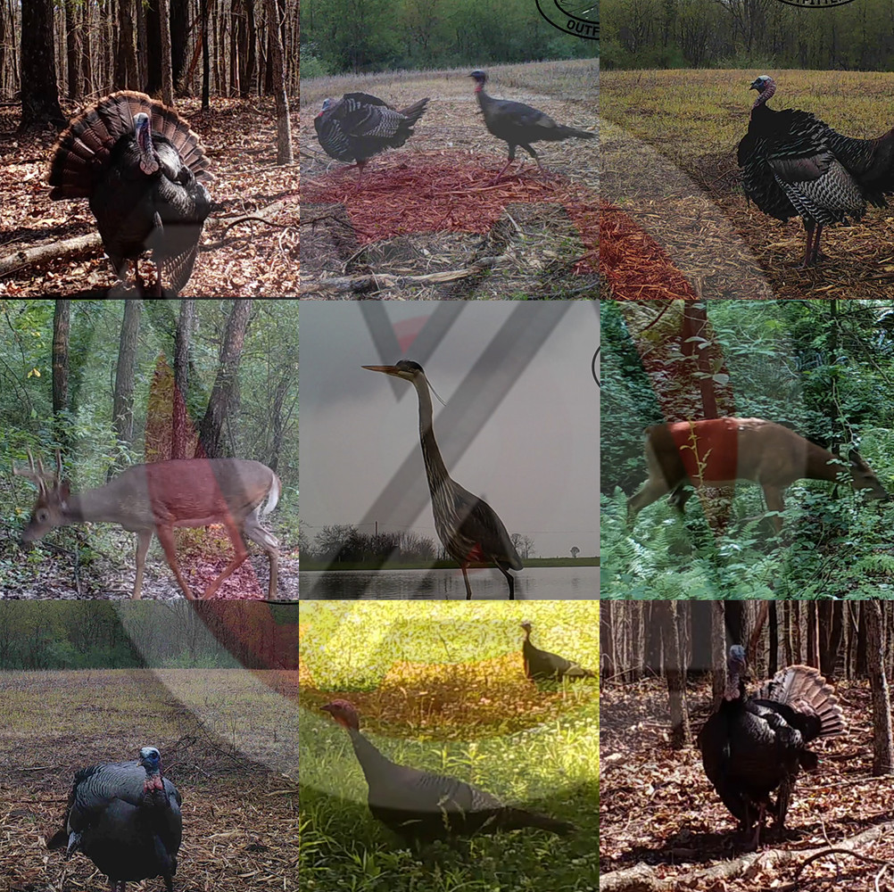 Spring Thunder 25 Scene Pack