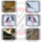 Thumbnail: 2025 Combo Pack