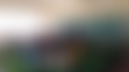 NFH Aspirants Begin Catechesis in Schools