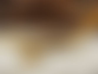 Urgence Santé à Essaouira : La Députée Malika Akhchkhouch Demande des Sérums Antivenimeux pour Lutter Contre les Piqûres de Scorpions