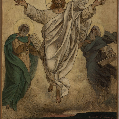 A Transfiguração espiritual do cristão (Homilia)