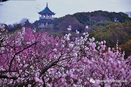 DAY TRIP: Getaway at Wuxi