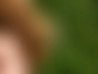 La pâquerette
