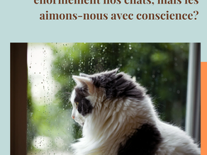 Bien souvent nous aimons énormément nos chats, mais les aimons-nous avec conscience?