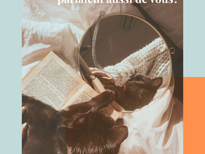 Et si les maux de votre chat parlaient aussi de vous?