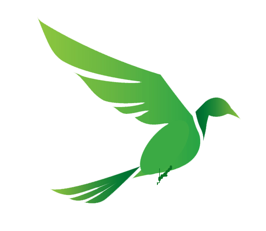 תמונת הסופר/ת: גריינר קיימות ובניה ירוקה