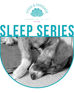 Sorrel's Sleep Series - how yoga can help you sleep better
