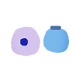 IMG_5791-removebg-preview.png