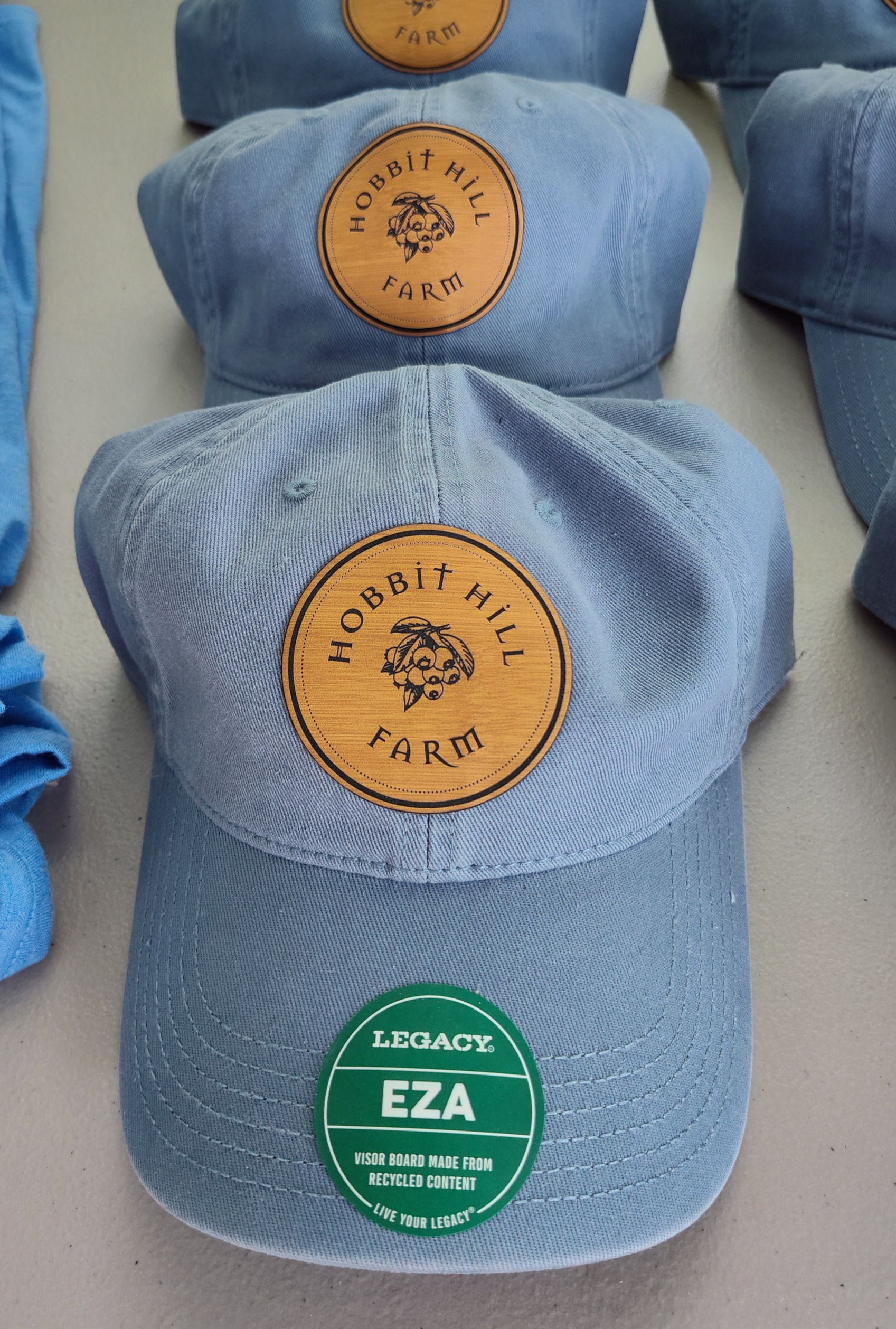 Logo Hat