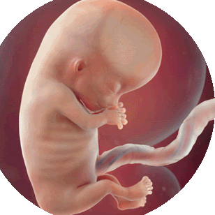 Homeopathy Doctor for Female Infertility in Chennai