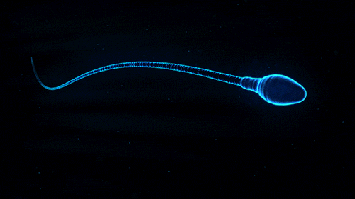 Homeopathy Doctor for Infertility in Chennai