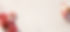 BANNER4.jpg