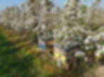 IMG_20220420_082323