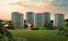 نويرا سايرتبا