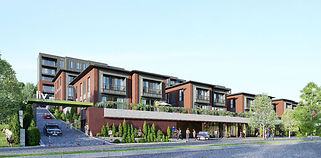 ليف بهشة شهير