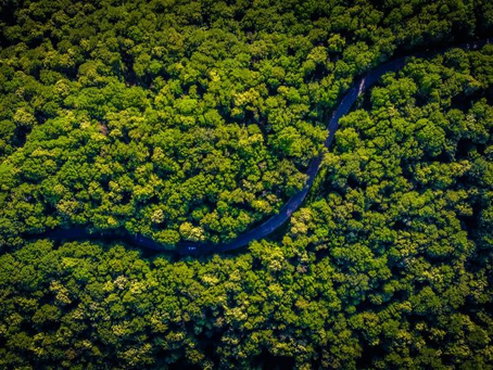 El Amazonas llega a un punto sin retorno