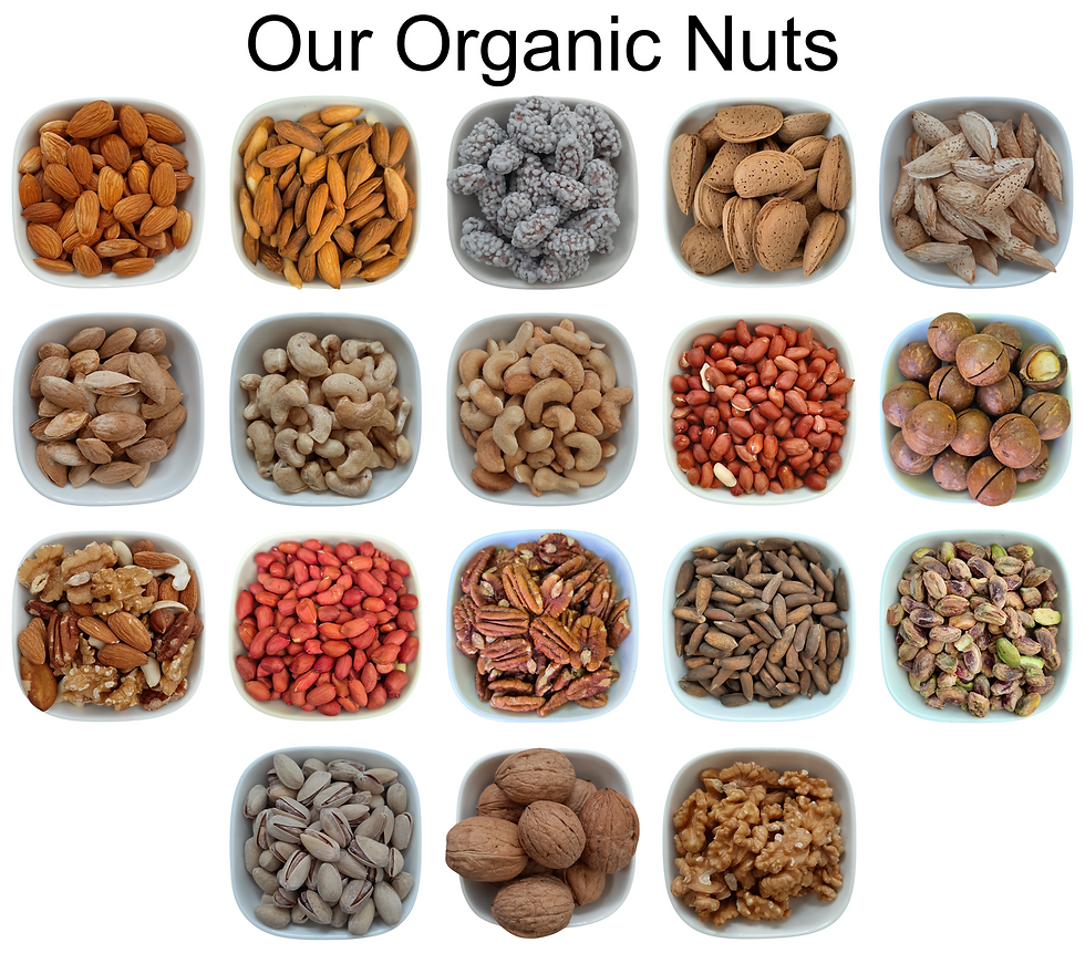 Thumbnail: White Kidney Beans – Natural Organic Premium-quality
