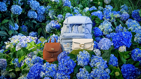 [Coach] SITP_Moving Image #1 (Product Only)_ 16x9 v1_FINAL_250618.01_00_00_04.Still002.jpg